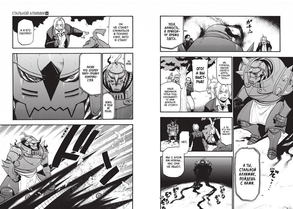 Стальной Алхимик. Кн.14