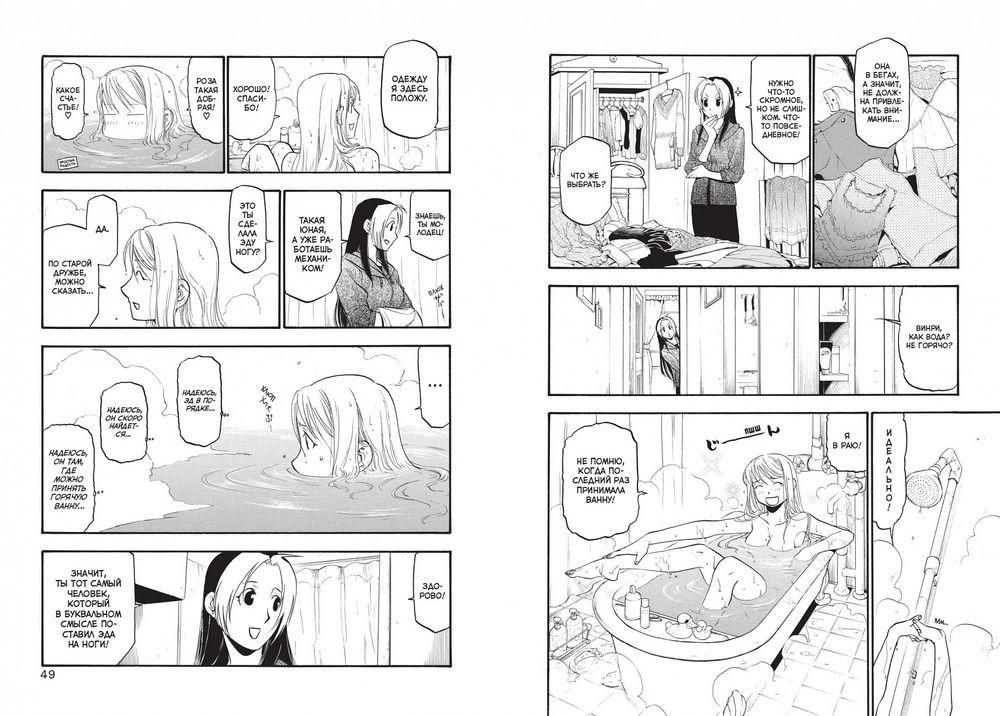 Стальной Алхимик. Кн.14