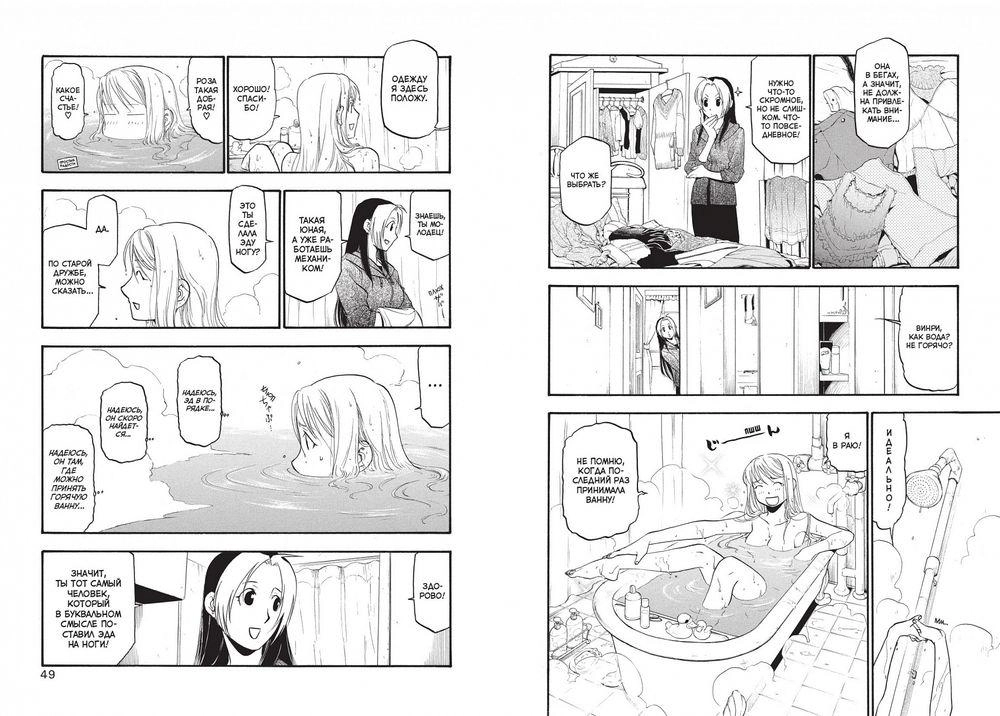 Стальной Алхимик. Кн.14