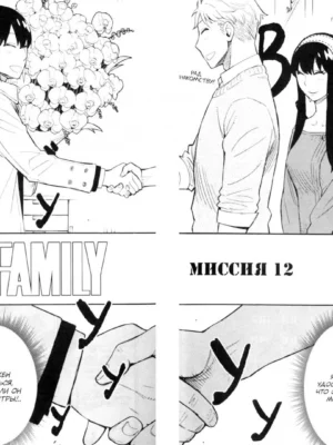 Spy x Family: Семья шпиона. Том 3 Spy x Family: Семья шпиона. Том 3