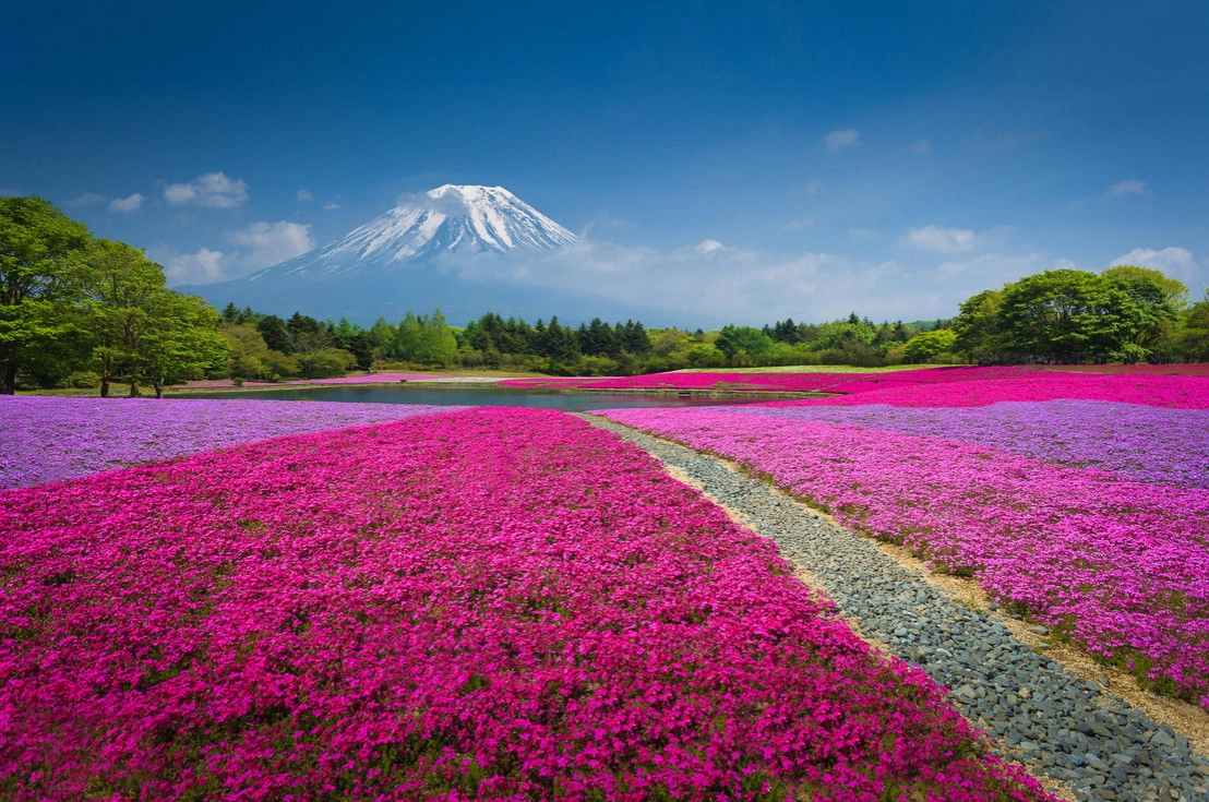 ПРАВЛЕНИЕ ДЛИННОЮ В ЖИЗНЬ