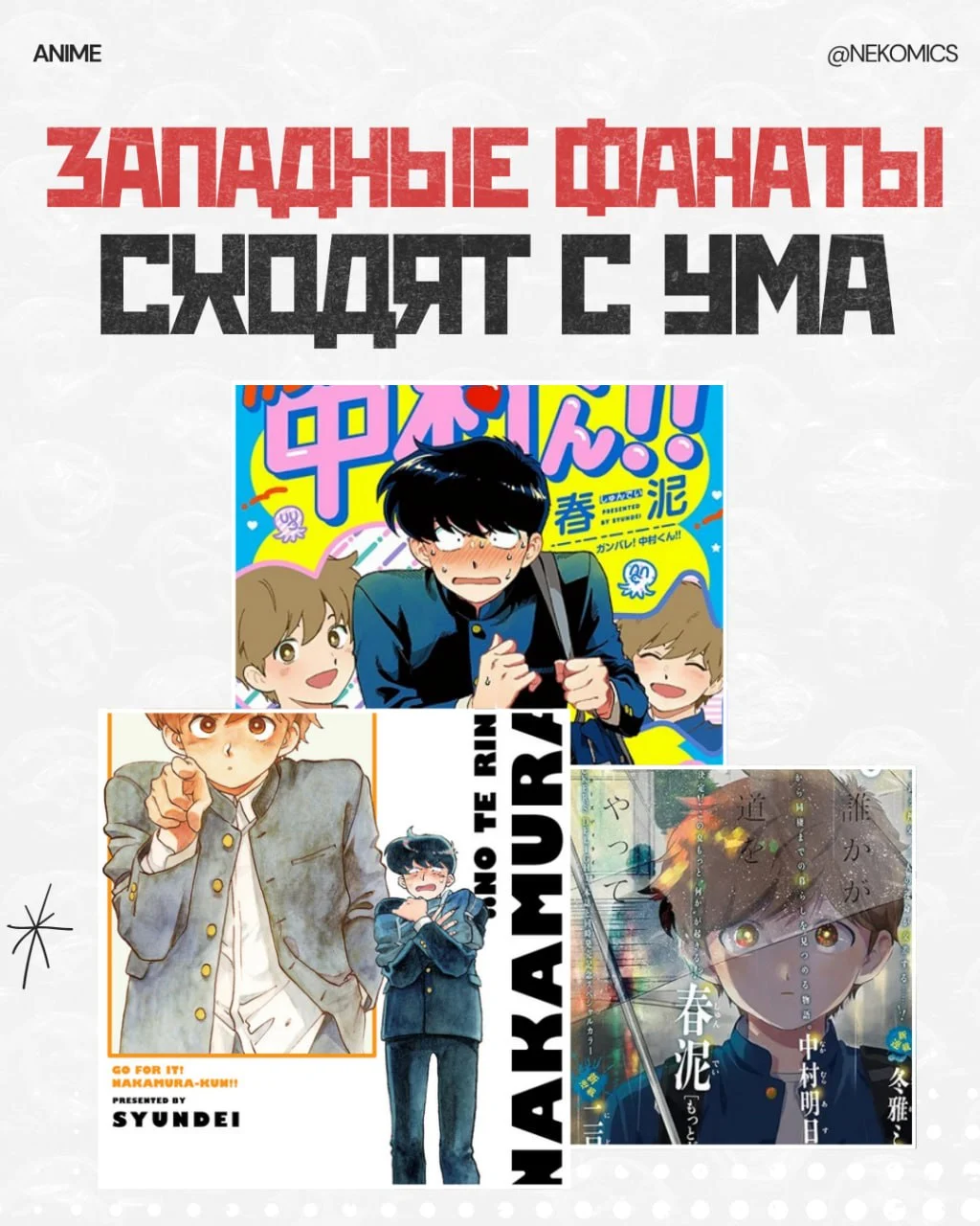 Западные фанаты уже совсем сошли с ума…