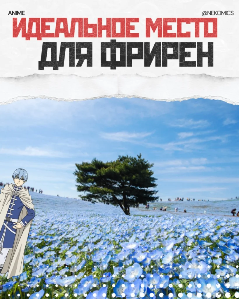 То место, где Фрирен была бы счастлива